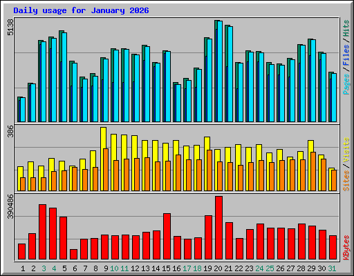 Daily usage for January 2026