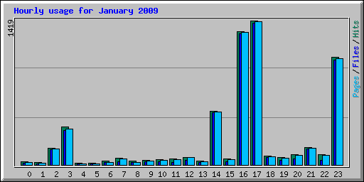 Hourly usage for January 2009