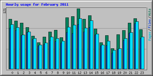 Hourly usage for February 2011