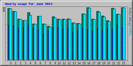 Hourly usage for June 2013