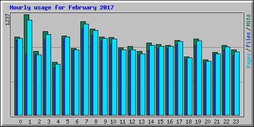 Hourly usage for February 2017