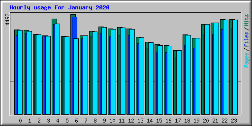 Hourly usage for January 2020