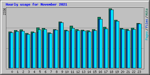 Hourly usage for November 2021