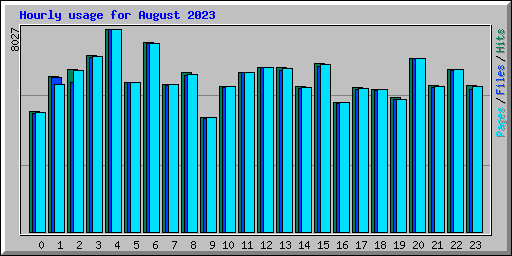 Hourly usage for August 2023