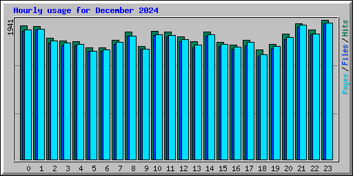 Hourly usage for December 2024