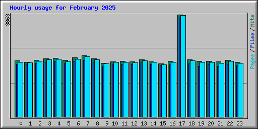 Hourly usage for February 2025