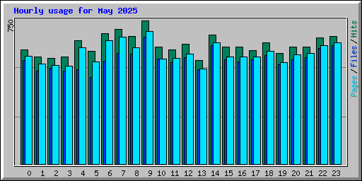 Hourly usage for May 2025