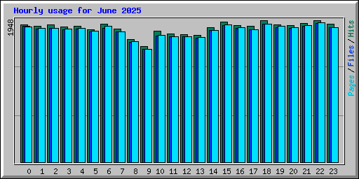 Hourly usage for June 2025
