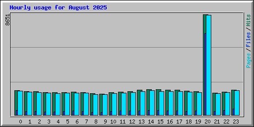 Hourly usage for August 2025
