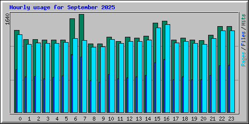 Hourly usage for September 2025
