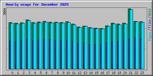 Hourly usage for December 2025