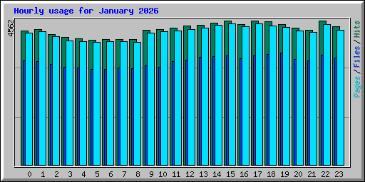 Hourly usage for January 2026